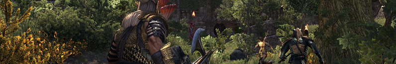 The-Elder-Scrolls-Online-The-Best-MMORPG-Graphics-Banner